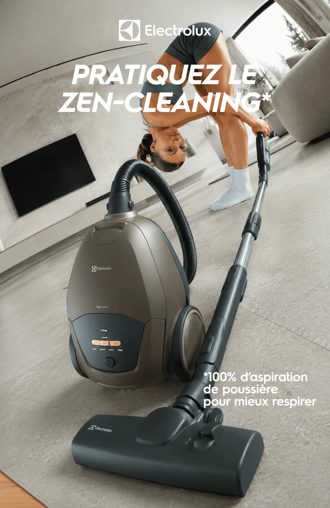 IA — Electrolux