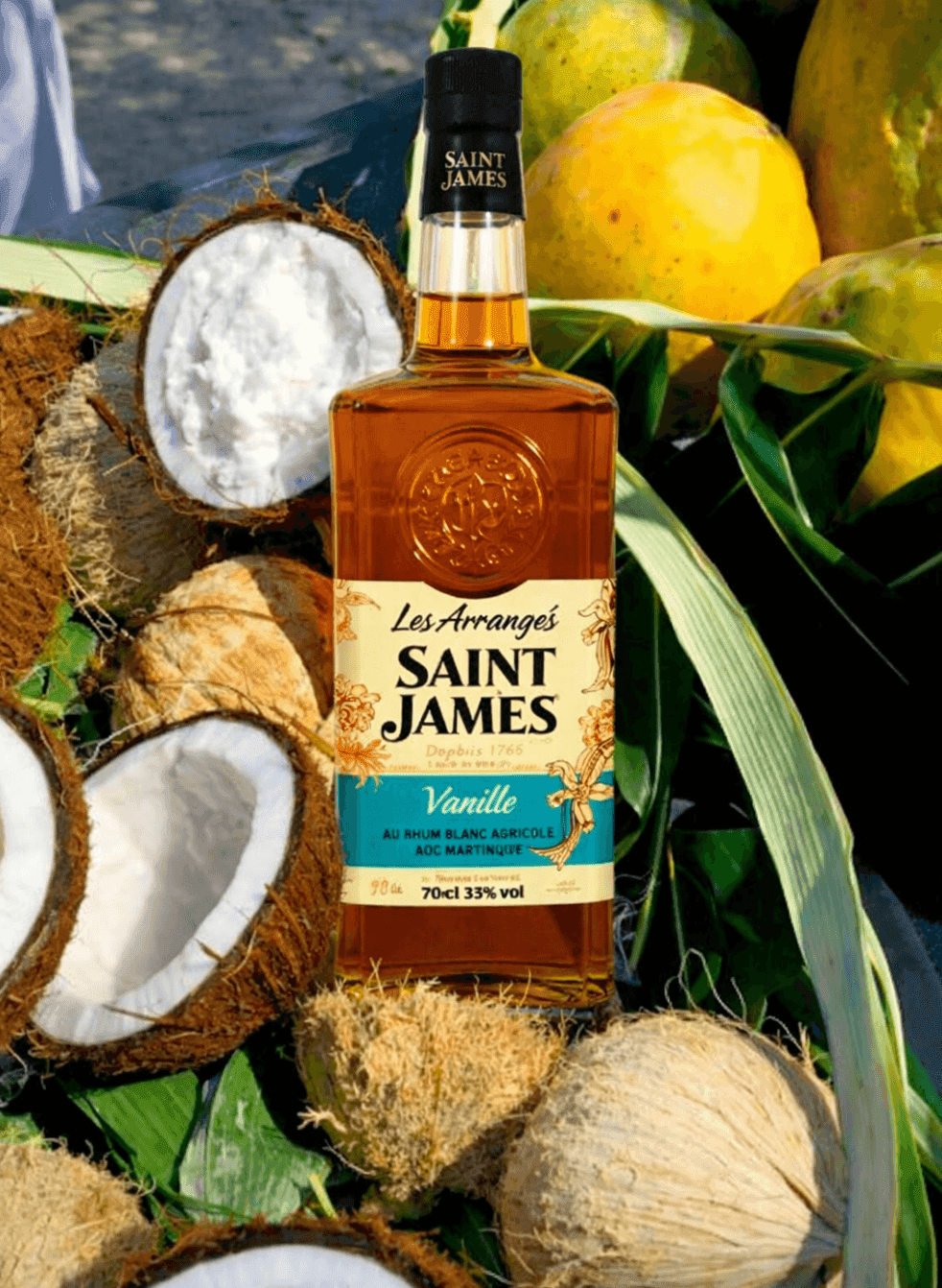 IA — Saint James 03